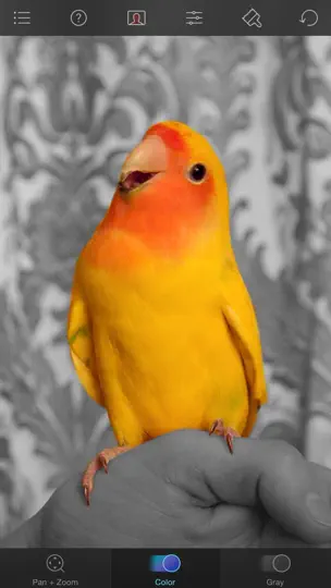 Captura de pantalla de Color Splash en iPhone 4