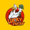 Lucky Ducky App