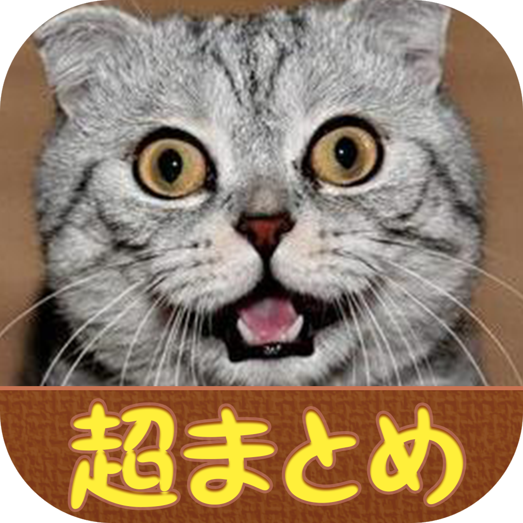 超まとめ ねこ 可愛いよねこ もふもふしたい Iphoneアプリ Applion