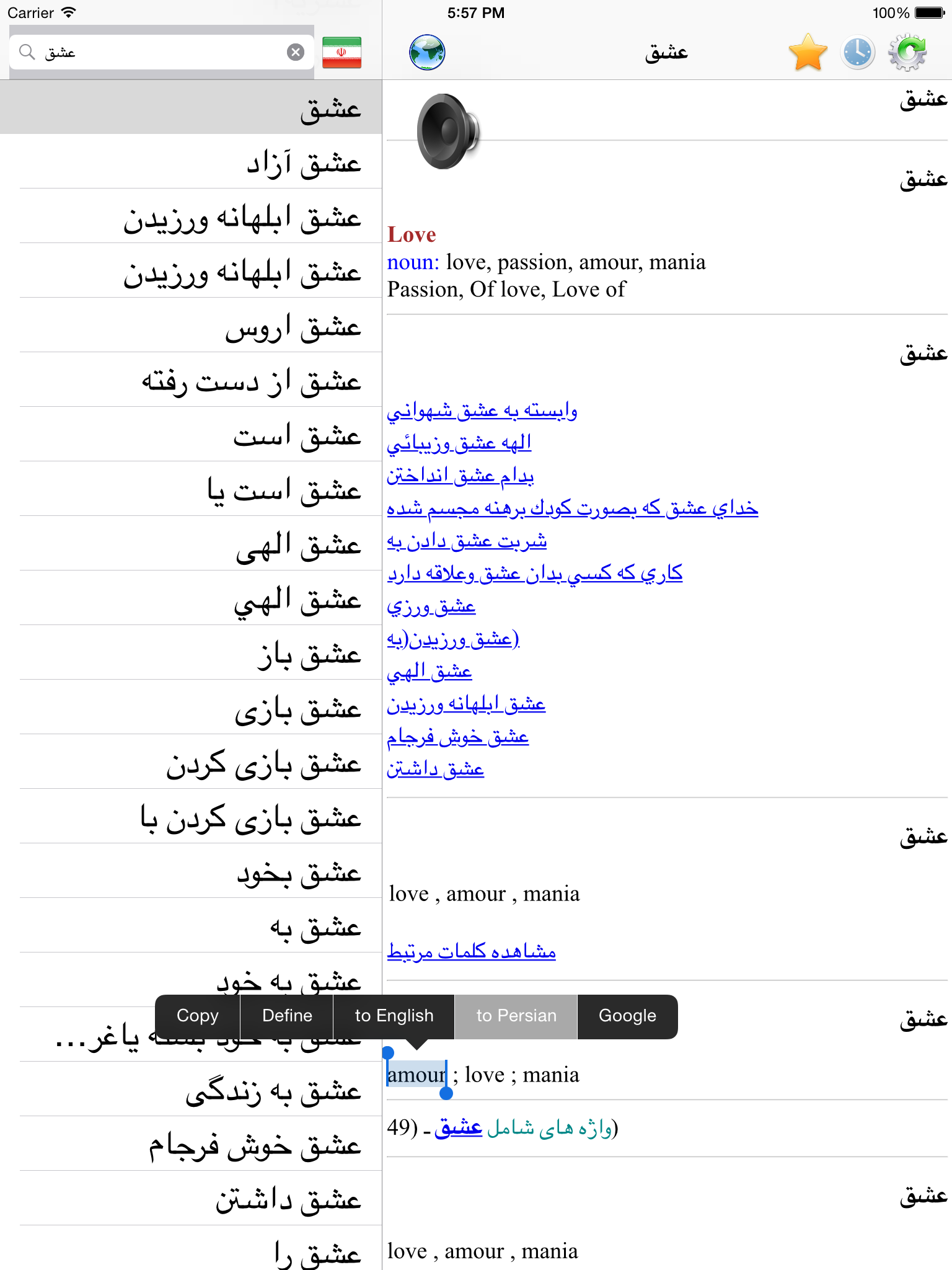 English Persian best dictionary, Farsi Parsi translation - ترجمه, فارسی انگلیسی دیکشنری بهترین screenshot 8