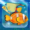 Fish Under the Water World: Learning Aquatic Creatures