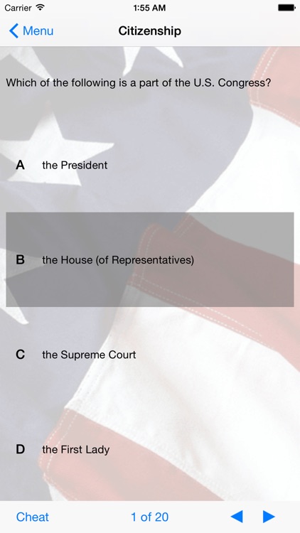 U.S. Citizenship Test