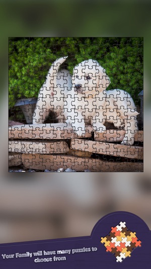 Very Cute Puppies To Pet - Free(圖5)-速報App
