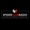 Spider Club Radio, la radio de la nouvelle génération