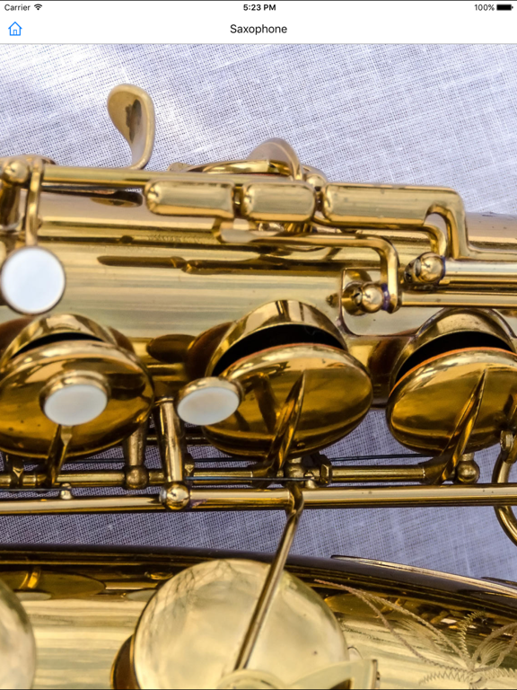 CHI Encyclopedia of Music iPad screenshot 5 - Education app