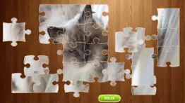 cat jigsaw puzzle - animal problems & solutions and troubleshooting guide - 2