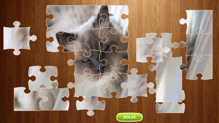 Cat Jigsaw Puzzle - Animal