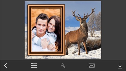 Screenshot #3 pour WildAnimal Photo Frame - Amazing Picture Frames & Photo Editor