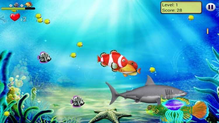 Feeding Frenzy Free