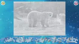 arctic animals puzzle iphone screenshot 3