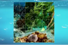 Game screenshot Finding Cute Fish And Sea Animal In The Cartoon Jigsaw Puzzle - Educational Solving Match Games For Kids apk