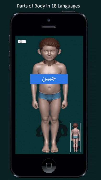 Parts of Body in 18 Languages screenshot-3