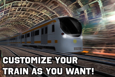 Delhi Subway Train Driving Simulator screenshot 4