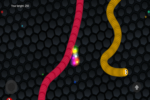 Slither Slippy Snakes screenshot 2