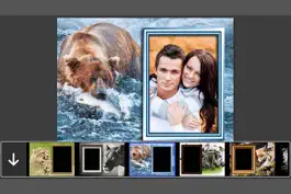 Game screenshot WildAnimal Photo Frame - Amazing Picture Frames & Photo Editor mod apk