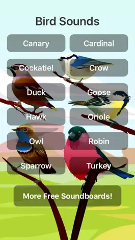 Game screenshot Bird Sounds! mod apk