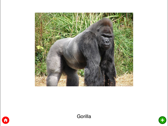 Animal Planet | Birds and Animals for Kids iPad screenshot 5 - Education app