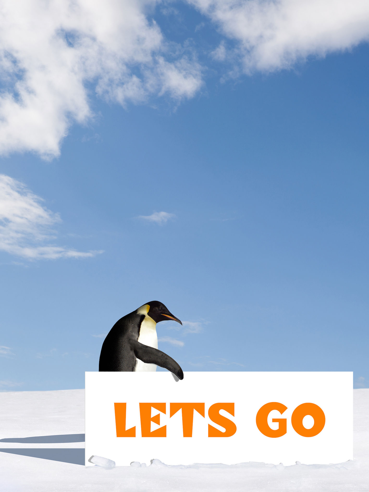 Penguin Run : Penguin games screenshot 6