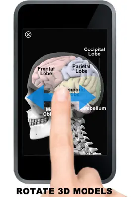 Game screenshot Anatomy 3D - Organs hack