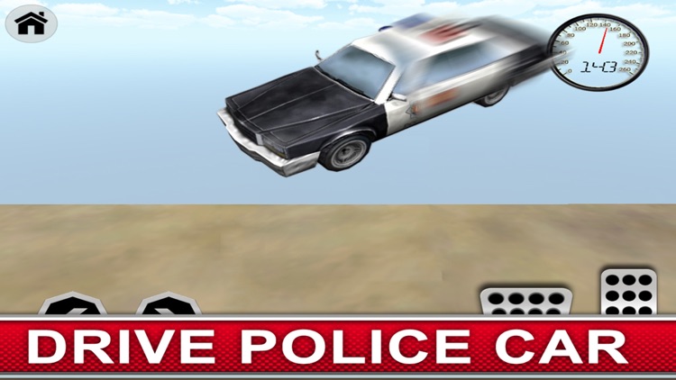 Police Car Simulator!