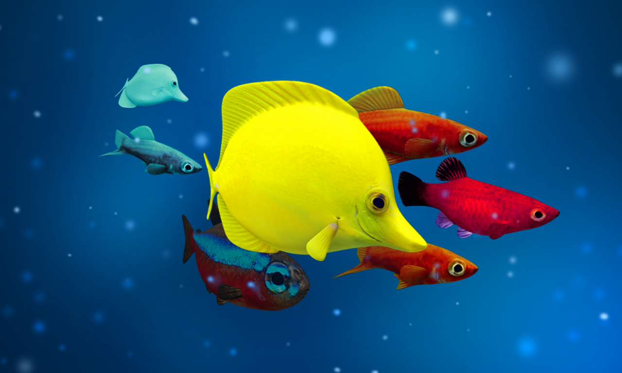 Aquarium Goldfish 3D