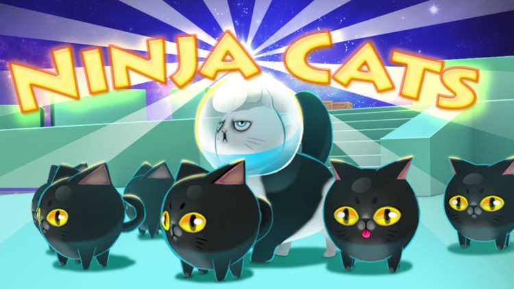 Ninja Cats Game