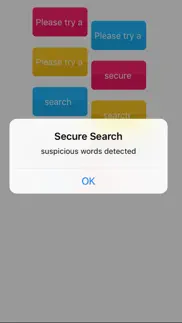 secure search iphone screenshot 3