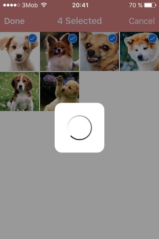 Image to PDF Converter and Viewer - náhled