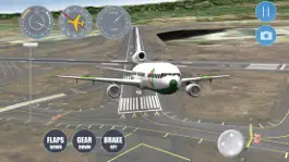 Game screenshot Airplane Denver apk