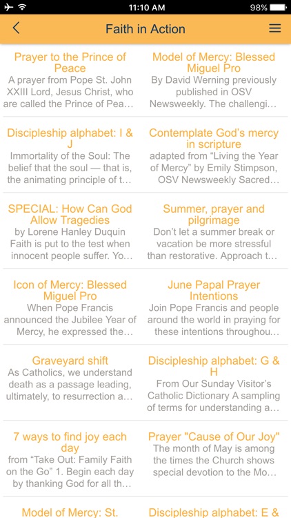 St. Vincent Ferrer Church screenshot-4