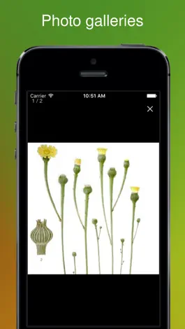 Game screenshot Rare Arable Flowers hack