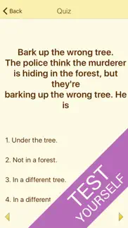 idiom in use advanced english айфон картинки 4
