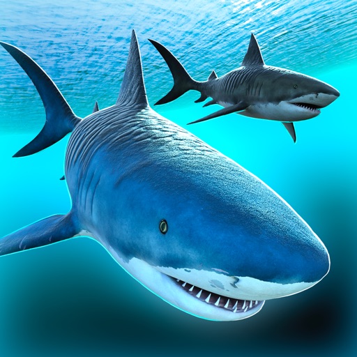 Sea Shark Adventure | Shark Swimming Game For Kids