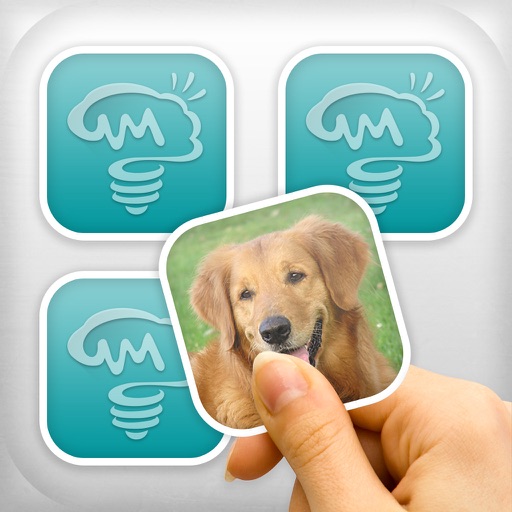 Memory cards free - Brain challenge Icon