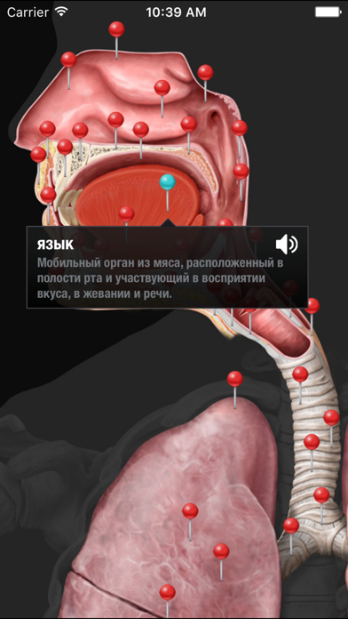 Виртуальное человеческое телоのおすすめ画像3