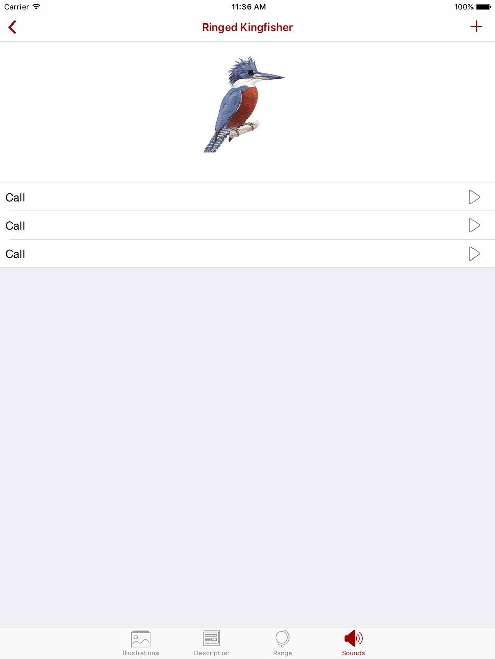 iPad screenshot
