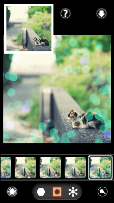 BokehPic-美丽的照片编辑应用 screenshot