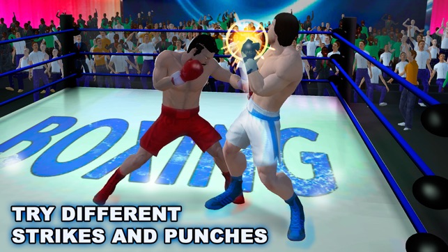 Real Punch Box Fighting 3D(圖3)-速報App