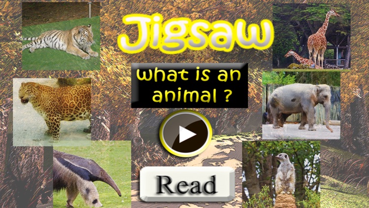 animal puzzle for kids preschool