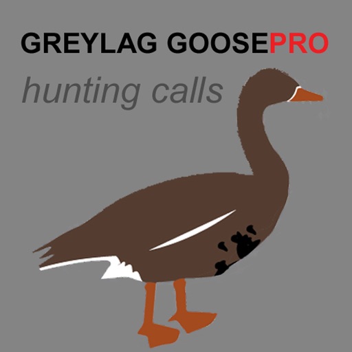 REAL Greylag Goose Hunting Calls -- Greylag Goose CALLS & Greylag Goose Sounds! iOS App