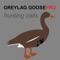 REAL Greylag Goose Hunting Calls -- Greylag Goose CALLS & Greylag Goose Sounds!