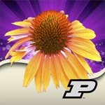 Download Purdue Perennial Doctor app