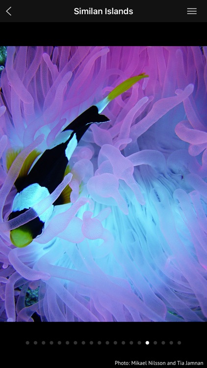 Thailand - Global Dive Guide