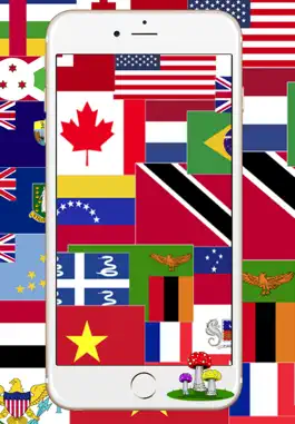 Game screenshot National Country Flags of The World Map Quiz mod apk