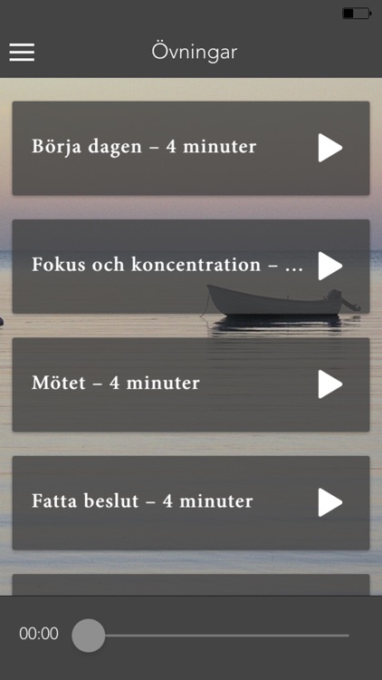 Mindfulness på jobbet