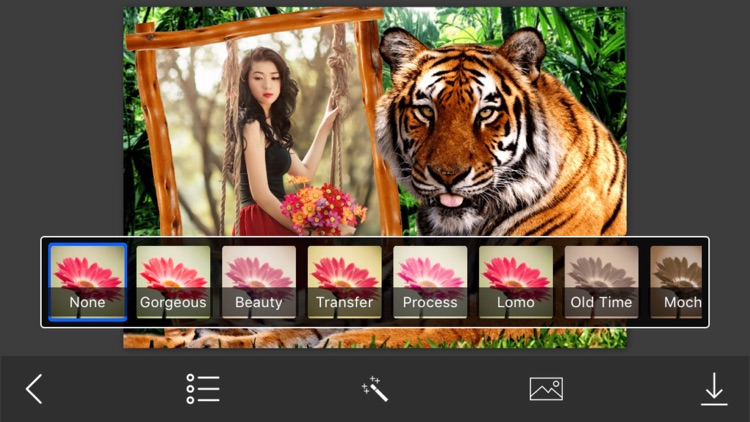 Animal Photo Frames - Creative Frames for your photo