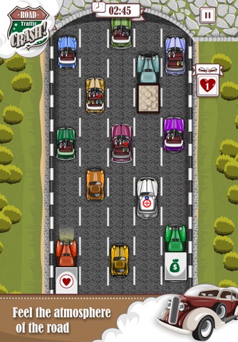 Road Traffic Crash screenshot 3