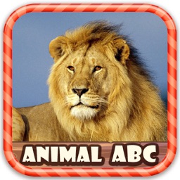 Figure Animal ABC