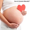 How to Conceive Naturally:Healthy Pregnancy Guide