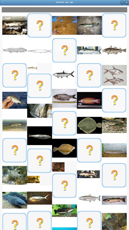 Game-fish - quiz